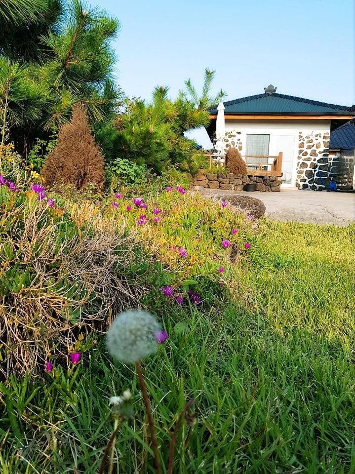 Hadori Mindfulness Villa Jeju Buitenkant foto